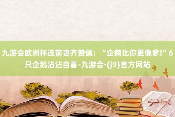 九游会欧洲杯连前妻齐赞佩：“企鹅比你更像爹!”6只企鹅沾沾自喜-九游会·(j9)官方网站