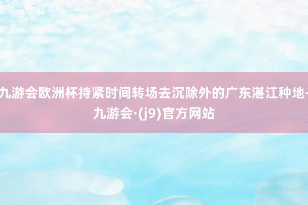 九游会欧洲杯持紧时间转场去沉除外的广东湛江种地-九游会·(j9)官方网站