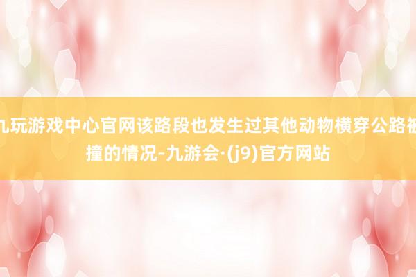 九玩游戏中心官网该路段也发生过其他动物横穿公路被撞的情况-九游会·(j9)官方网站