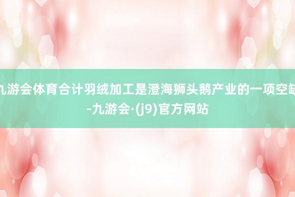 九游会体育合计羽绒加工是澄海狮头鹅产业的一项空缺-九游会·(j9)官方网站