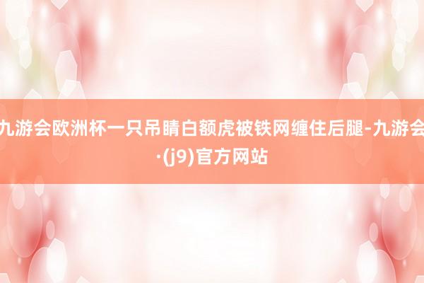 九游会欧洲杯一只吊睛白额虎被铁网缠住后腿-九游会·(j9)官方网站