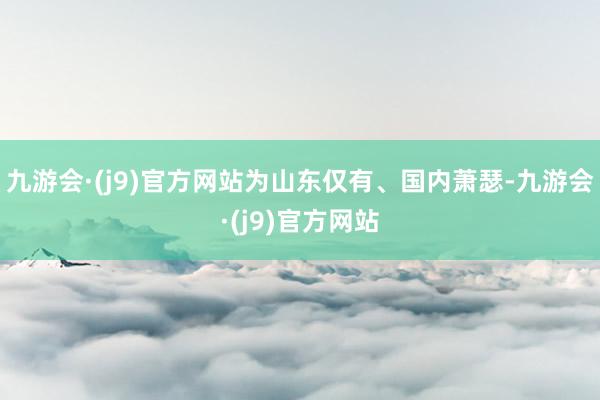 九游会·(j9)官方网站为山东仅有、国内萧瑟-九游会·(j9)官方网站