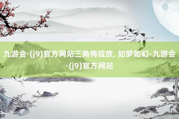 九游会·(j9)官方网站三角梅绽放, 如梦如幻-九游会·(j9)官方网站