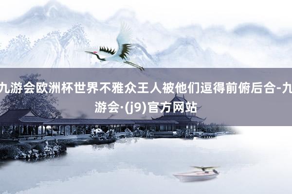 九游会欧洲杯世界不雅众王人被他们逗得前俯后合-九游会·(j9)官方网站
