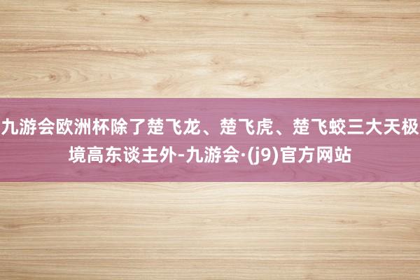 九游会欧洲杯除了楚飞龙、楚飞虎、楚飞蛟三大天极境高东谈主外-九游会·(j9)官方网站
