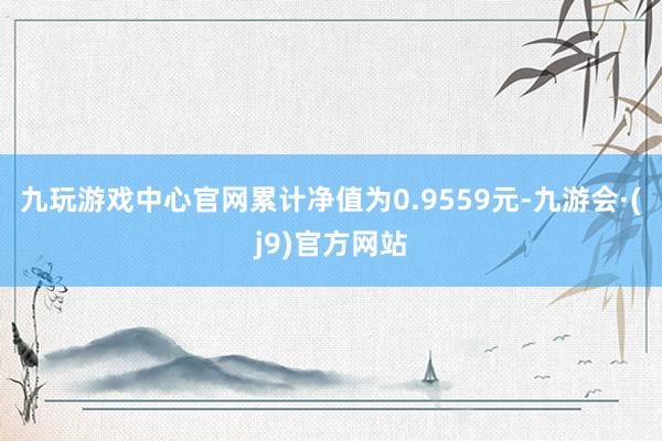 九玩游戏中心官网累计净值为0.9559元-九游会·(j9)官方网站