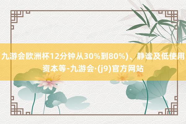 九游会欧洲杯12分钟从30%到80%)、静谧及低使用资本等-九游会·(j9)官方网站