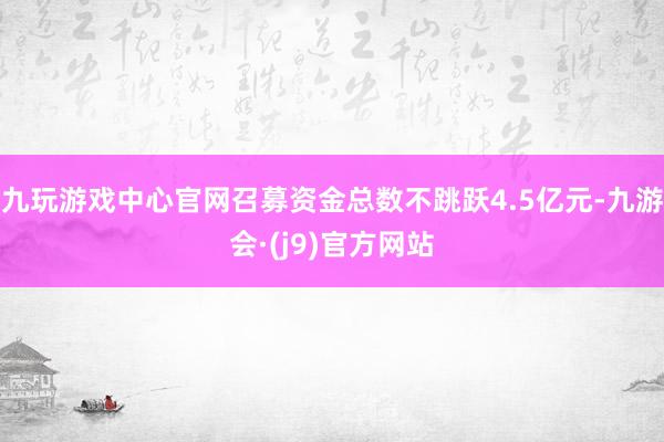 九玩游戏中心官网召募资金总数不跳跃4.5亿元-九游会·(j9)官方网站