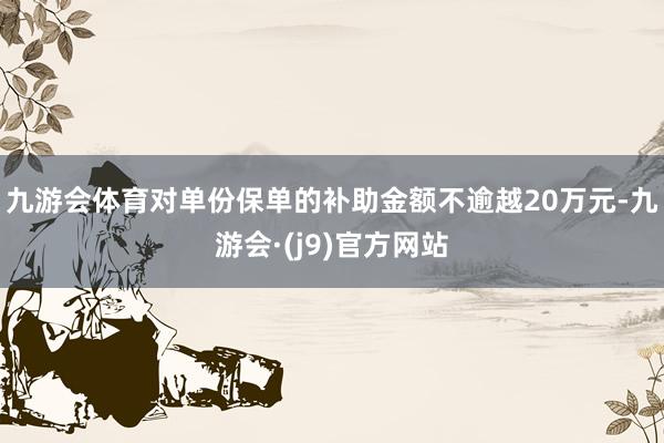 九游会体育对单份保单的补助金额不逾越20万元-九游会·(j9)官方网站
