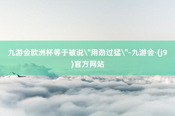 九游会欧洲杯等于被说