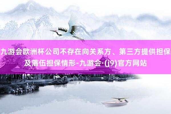九游会欧洲杯公司不存在向关系方、第三方提供担保及落伍担保情形-九游会·(j9)官方网站