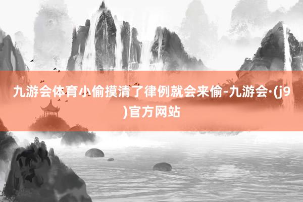 九游会体育小偷摸清了律例就会来偷-九游会·(j9)官方网站