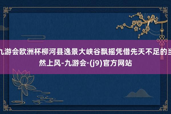 九游会欧洲杯柳河县逸景大峡谷飘摇凭借先天不足的当然上风-九游会·(j9)官方网站