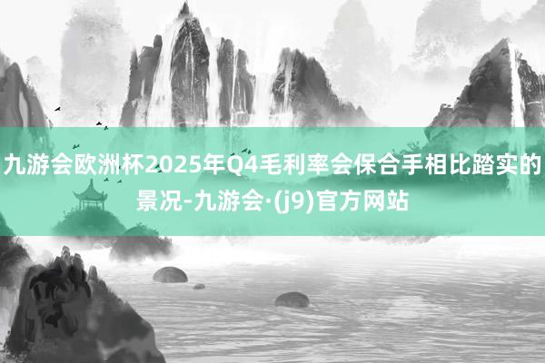 九游会欧洲杯2025年Q4毛利率会保合手相比踏实的景况-九游会·(j9)官方网站