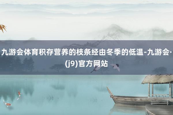九游会体育积存营养的枝条经由冬季的低温-九游会·(j9)官方网站